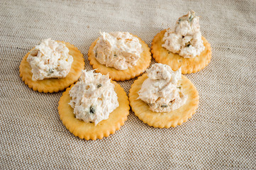 Cracker with tuna spread