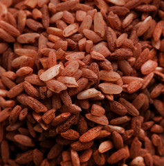 Rice grains on pale close up