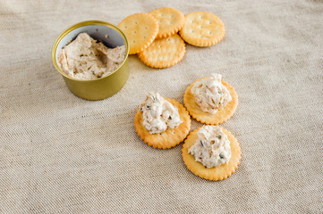 Cracker with tuna spread