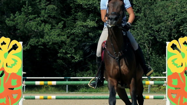 Woman jockey learning and riding horse in the nature and preparing for comeptition