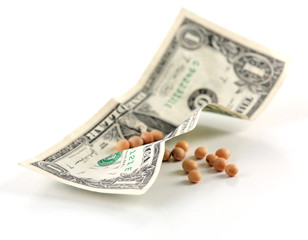 Paper money and grains isolated on white
