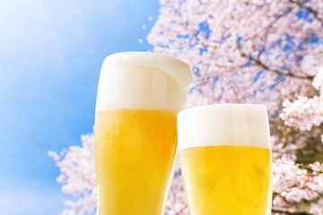 ビール（桜）
