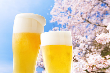ビール（桜）