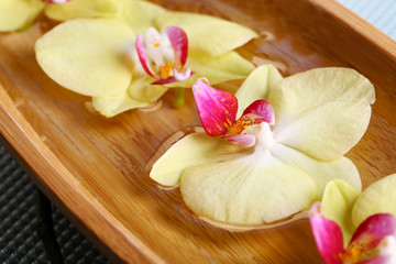 Fototapeta na wymiar Beautiful orchid flowers in water close-up
