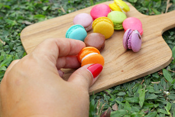 Fototapeta na wymiar French macaroons multi colorful is delicious