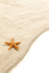 Starfish on Beach Sand