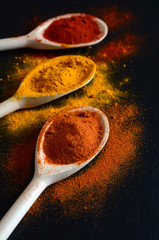 Colorful spices on cooking spoons