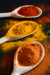 Colorful spices on cooking spoons