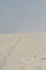 Dunes. Sand in the desert. Slowinski National Park, Poland.
