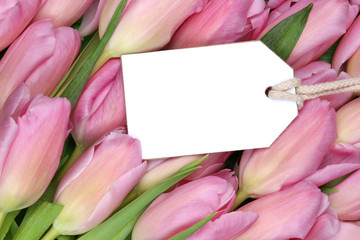 Tulpen Blumen im Frühling oder Muttertag mit leerem Schild und