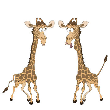 Caricature of two fun giraffes