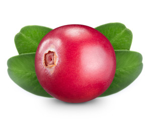 cranberries