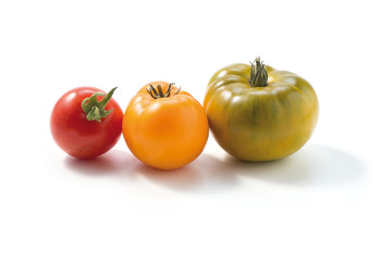 tomatoes on a white background