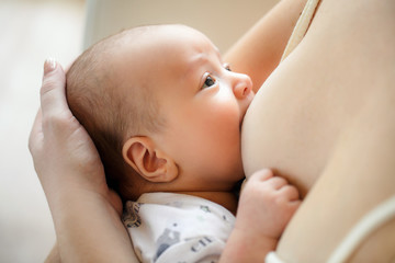 Baby feeds on MOM's breasts