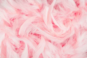 Fotobehang Pink feathers background © lanalight