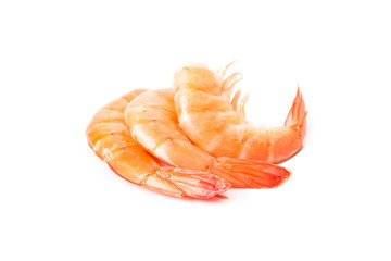 Shrimps on a white background