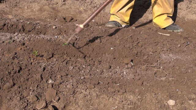 working in spring time farm with garden tool