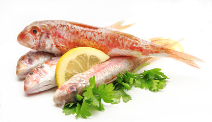 Fresh red mullet
