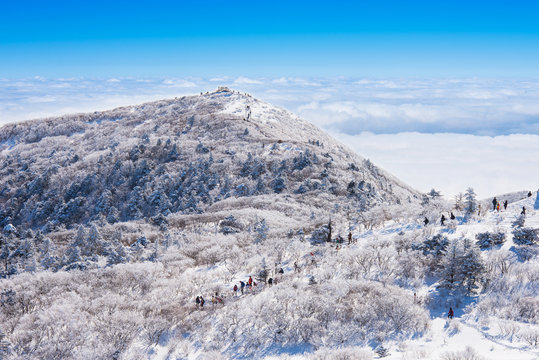 Landscape in winter,The highest point of mountain in Korea