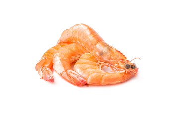 Shrimps on a white background