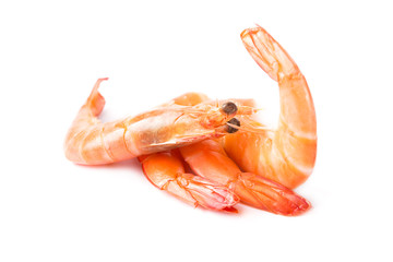 Shrimps on a white background