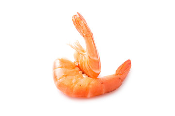 Shrimps on a white background