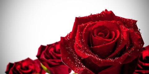 Composite image of red roses
