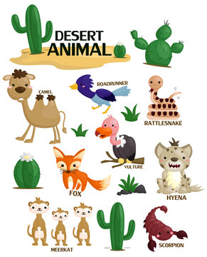 Desert Animal Vector Set