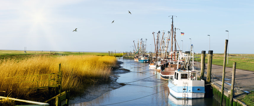 Fototapeta Kutterhafen in Friesland