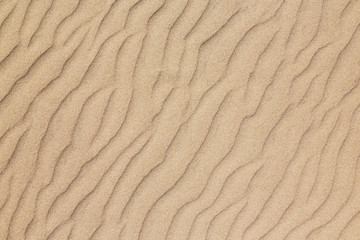 beach sand
