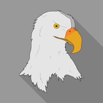 vector illustration of an eagle