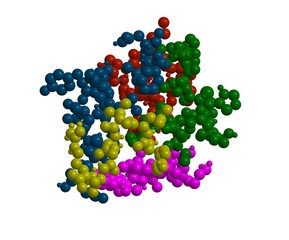 Molecular structure of insulin
