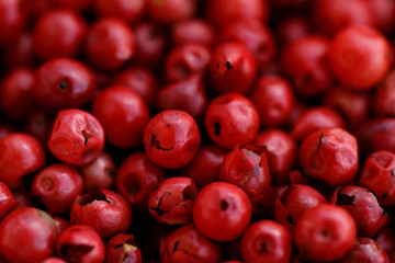 Pink Pepper