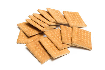Frollini