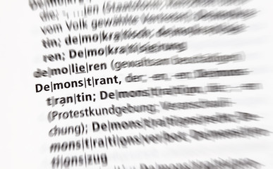 Demonstrant - Konzept