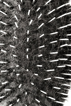 Benutzte Haarb&uuml;rste