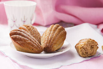 Madeleine with green tea on a pink background