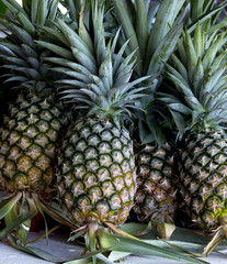 Closeup pile of pineapple in fruit Market.