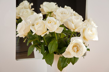 beautiful roses