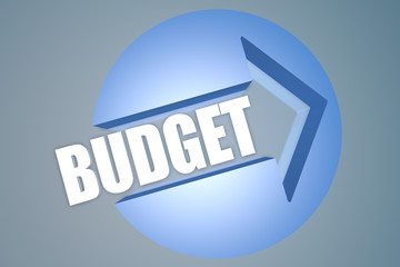 Budget