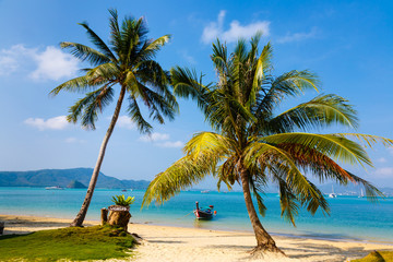 Fototapeta na wymiar Landscape the sea, the boat, a palm tree in Phuket