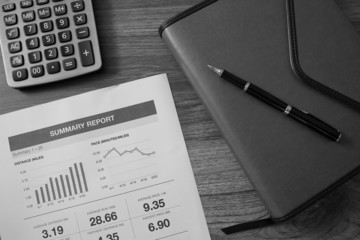 Showing business and financial report. Accounting