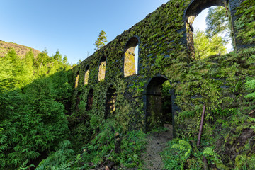 Fototapeta na wymiar Stone Wall Old Aqueduct in the Forest