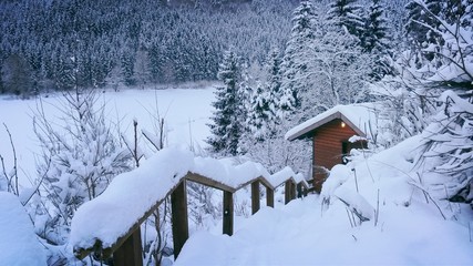 Idylle im Schnee