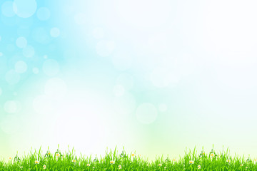 Fototapeta na wymiar Fresh green grass with blue bokeh and sunlight. Beauty natural b
