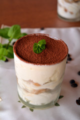 Fresh Italian Tiramisu Dessert