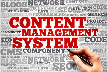 CMS Content Management System word cloud, business concept