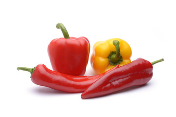 Colored peppers on white background