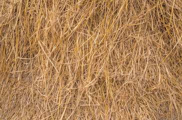Straw texture for background