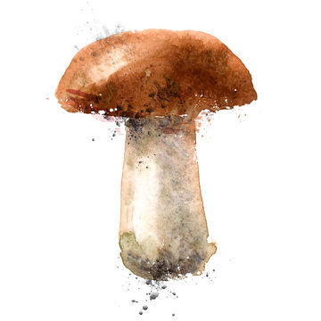 mushroom vector logo design template. nature or food icon.
